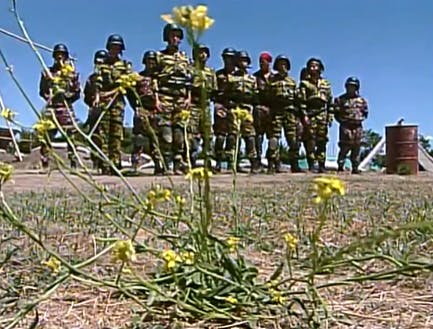 "Combate": mujeres vs hombres 