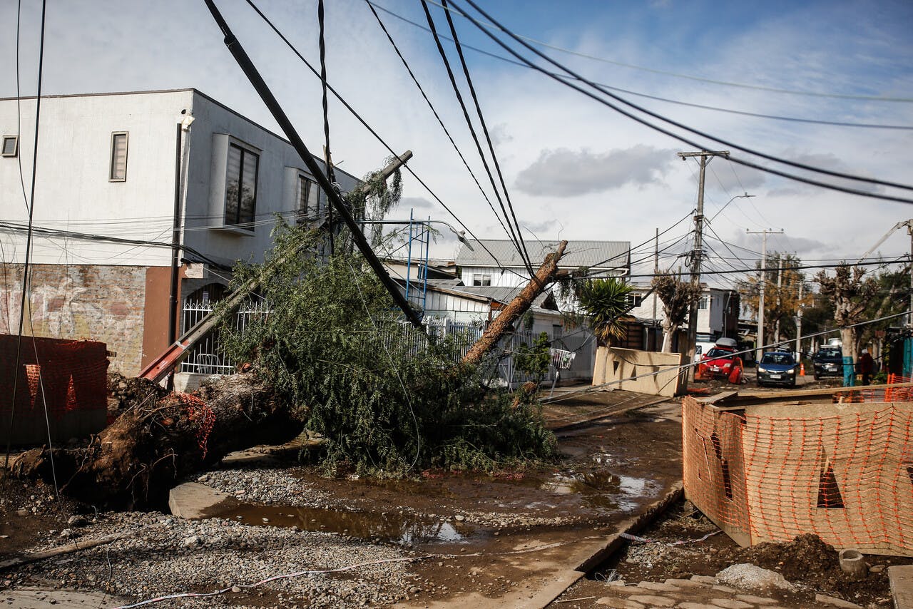 Ante el pronóstico de fuertes vientos: ¿Podría volver a colapsar el servicio eléctrico?