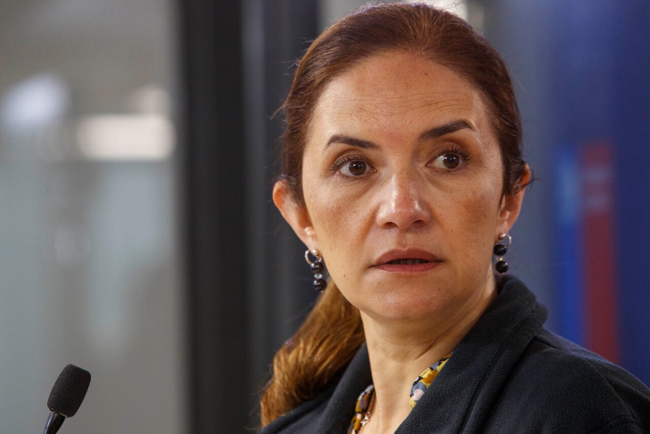 Senapred y posibles cortes de luz ante lluvias: "Esperamos que las empresas estén a la altura"