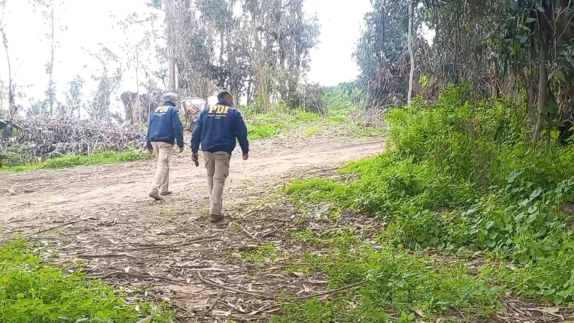 Realizan nuevos peritajes en Limache por búsqueda de María Ercira