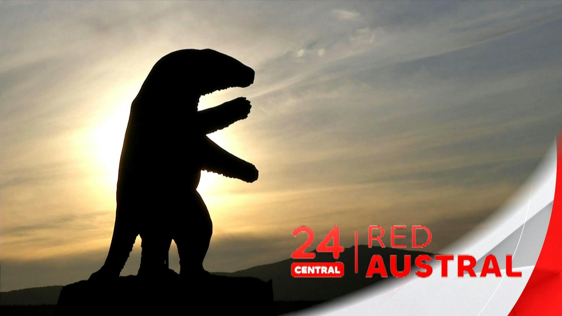 Noticiero 24 horas Red Austral