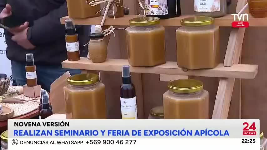 Realizan seminario y feria de exposición apícola