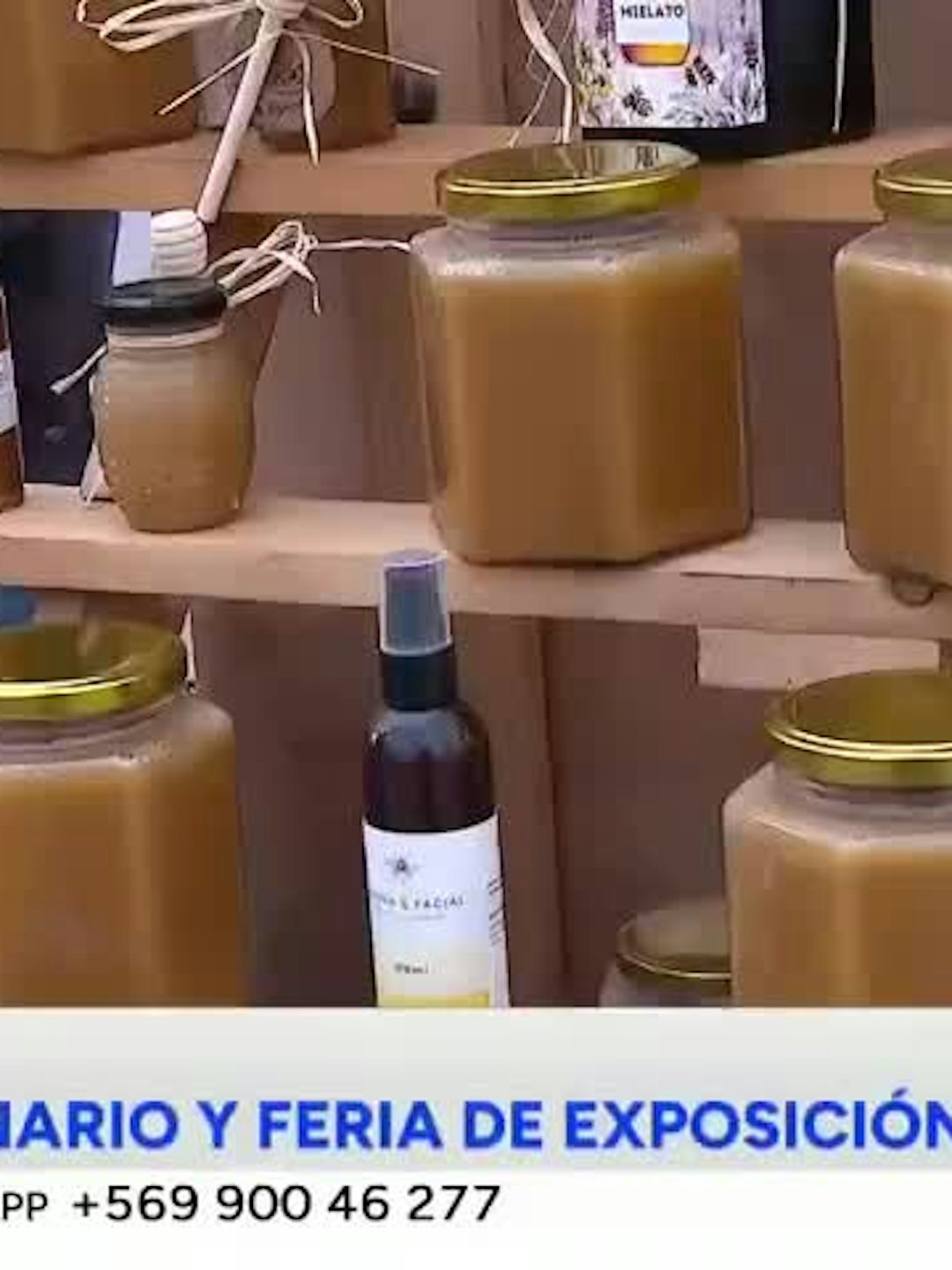 Realizan seminario y feria de exposición apícola