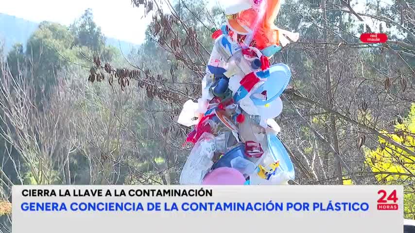 Crean proyecto para visibilizar crisis ambiental
