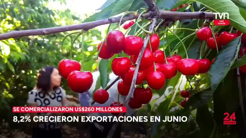 8,2% crecieron las exportaciones en junio
