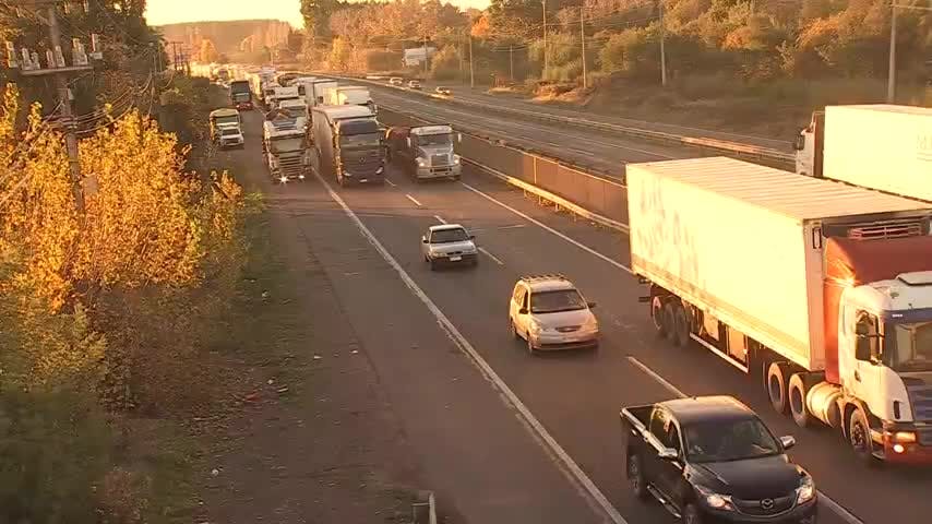 Seguridad y 40 horas: preocupación de camioneros en cita en Biobío