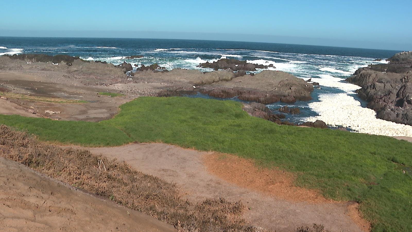 Síntesis regional  de noticias: presentan recurso de protección contra municipalidad de Antofagasta