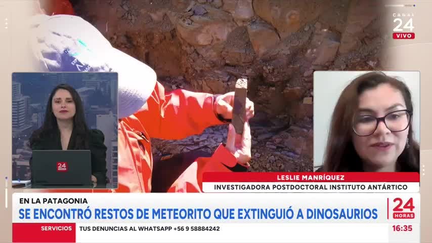 En la Patagonia: encuentran restos de meteorito que extinguió a dinosaurios