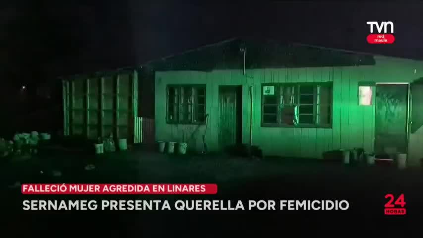 Sernameg presenta querella por femicidio