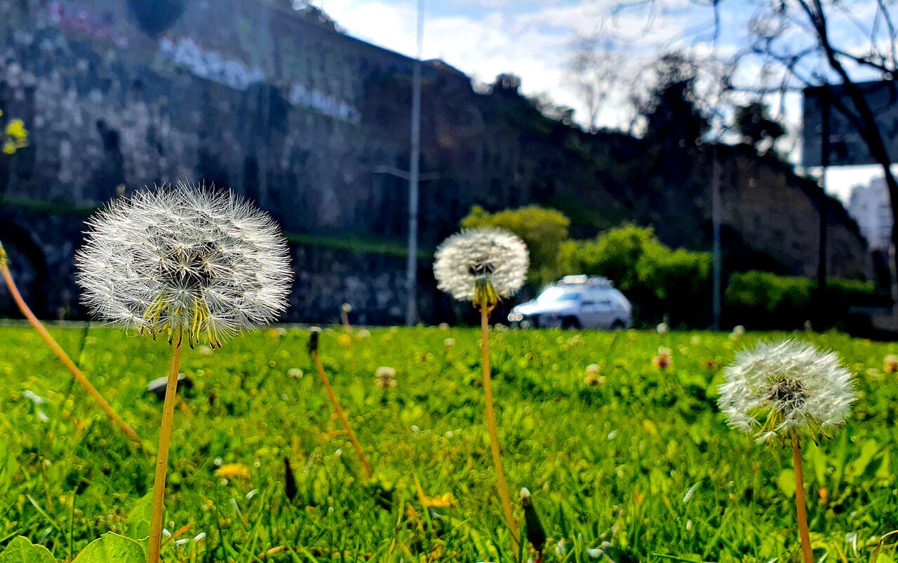 Yael Szewkis responde: ¿Cuál es la diferencia entre las estaciones meteorológicas y astronómicas? 