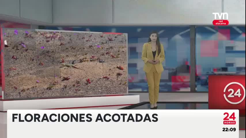 24 Horas Central Red Atacama - 28 de Agosto 2024