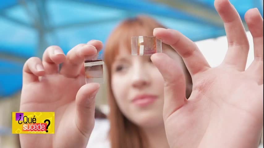 ¿Qué Sucede? en NTV: Futsal, infusiones y energía no contaminante 