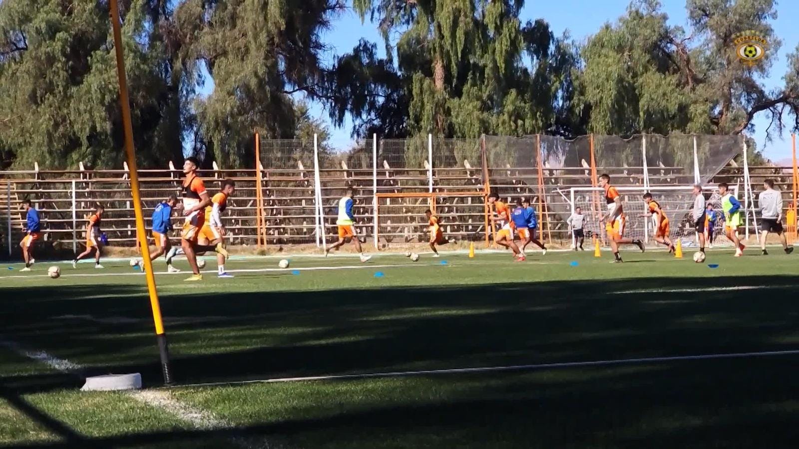 Cobreloa se enfrenta a Colo Colo este domingo