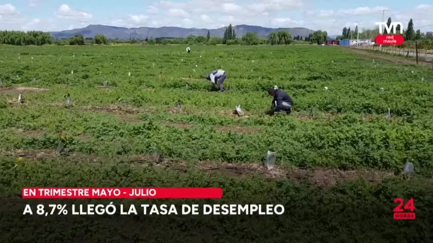 A 8,7% llegó la tasa de desempleo