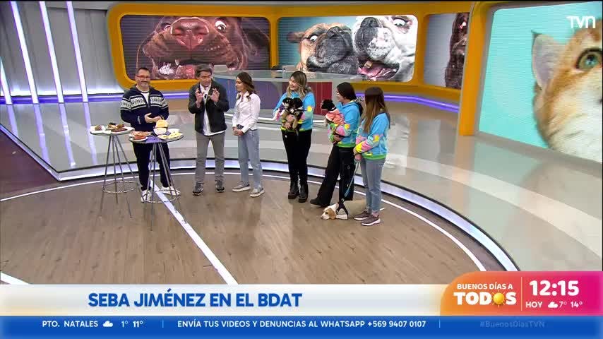Concurso "Buenos días con tu mascota"