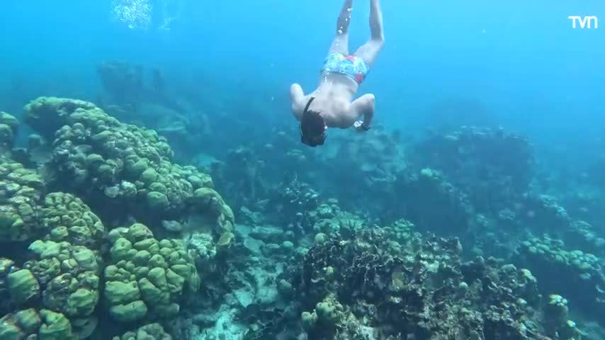 Iván y Simón se despiden de Aruba
