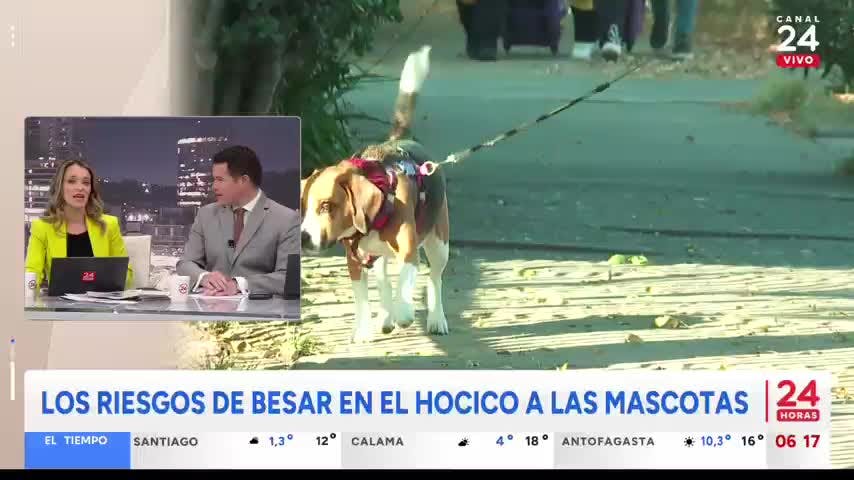 24 Horas Tu Mañana - Jueves 22 de agosto 2024