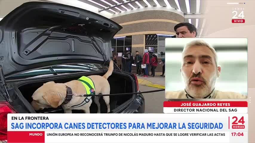 En la frontera: SAG incorpora a canes detectores para mejorar la seguridad