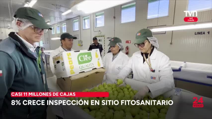 8% crece inspección en sitio fitosanitario de Teno
