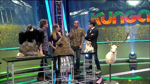  Descubriendo un nuevo mundo para nuestras mascotas | Kunga - T1E11