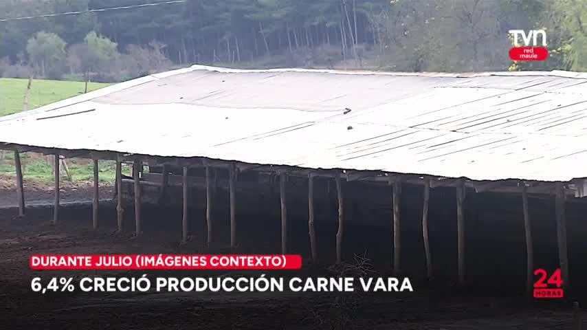 6,4% creció la producción de carne de vara