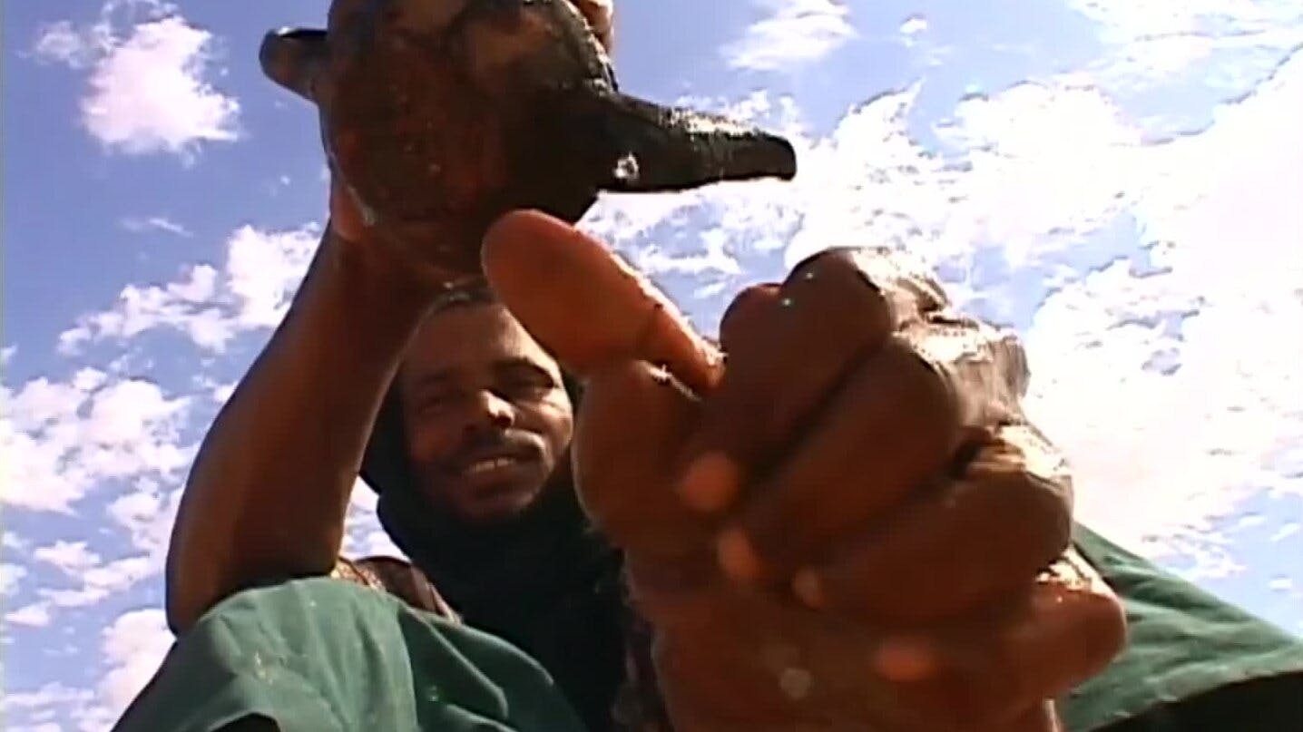 La ruta del Sahara - T1E7