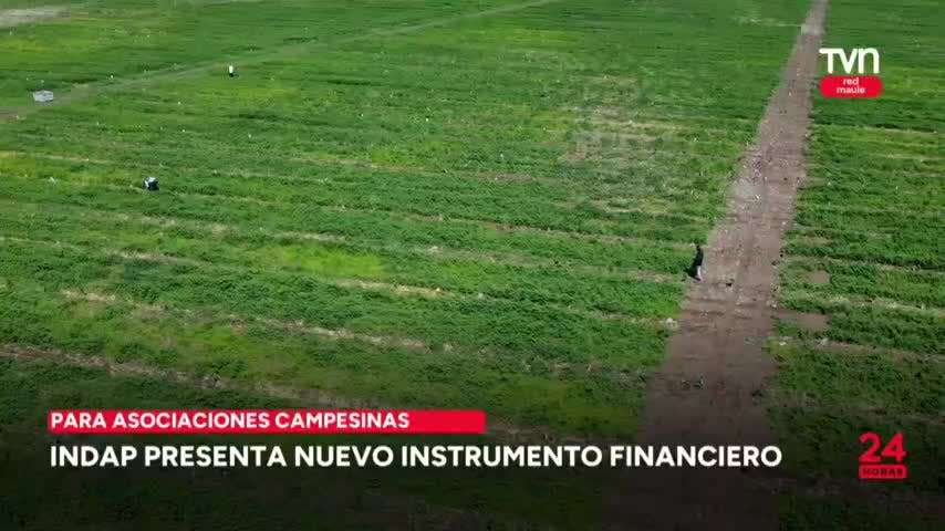 Indap presenta nuevo instrumento financiero