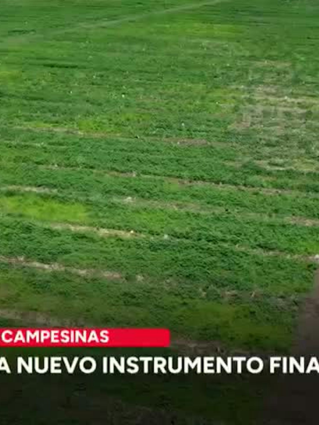 Indap presenta nuevo instrumento financiero