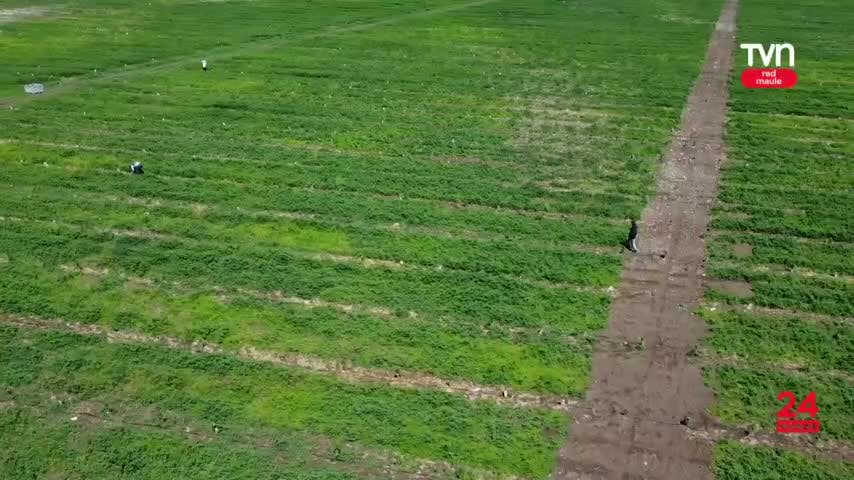 Ingreso promedio creció 165 mil pesos