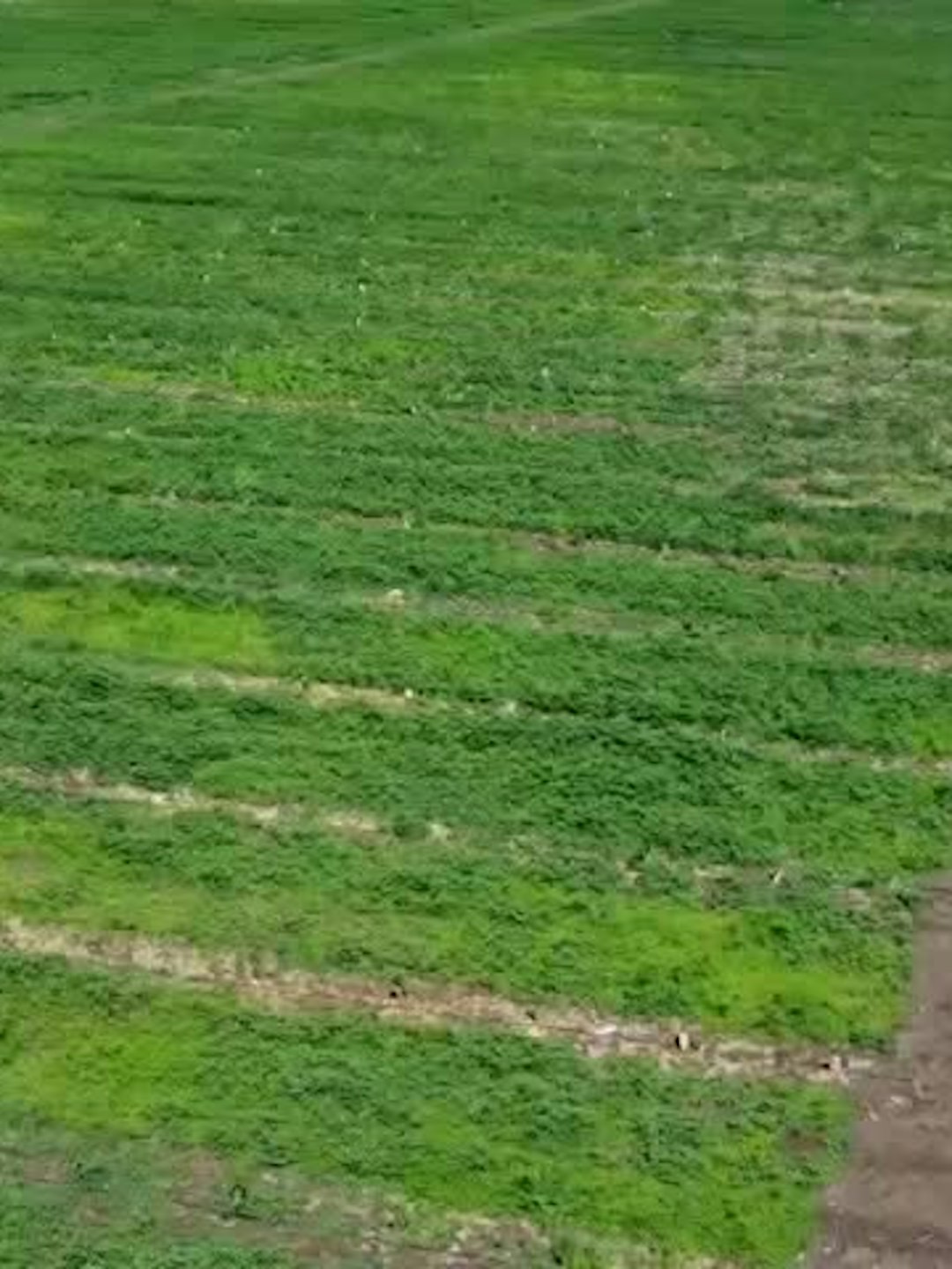 Ingreso promedio creció 165 mil pesos