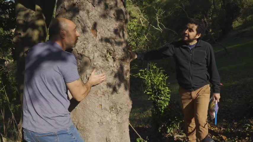 Neurópolis en NTV T2 Capítulo 3: Edad y cambios vitales