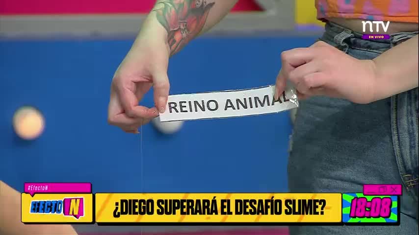 Desafío Slime VS. Diego de Vitds 