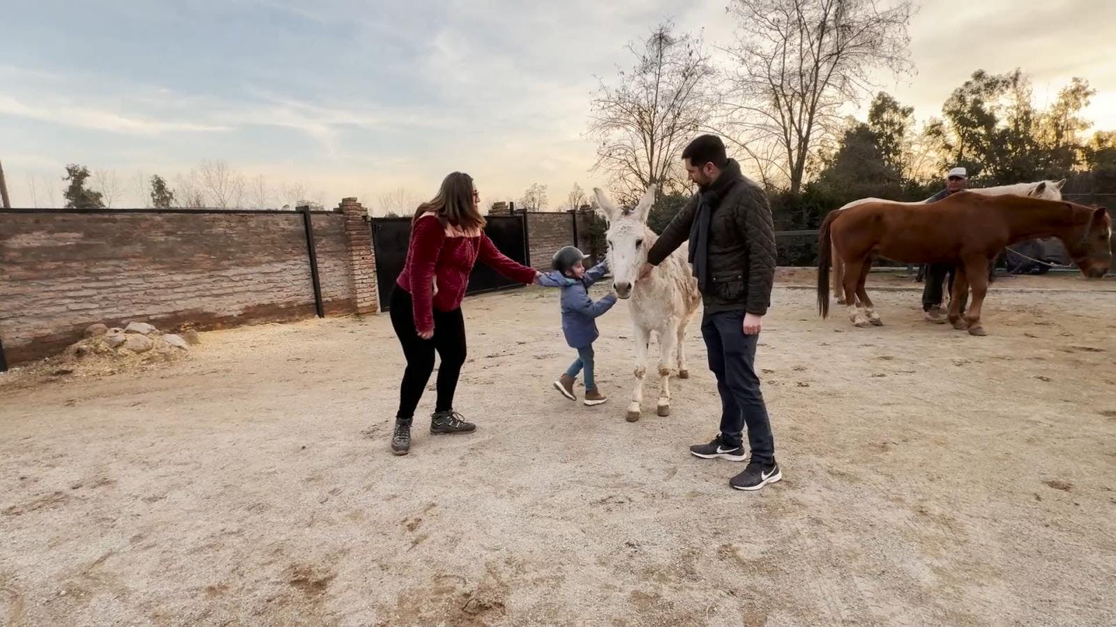 Fundación Felipe Camiroaga se extiende a regiones