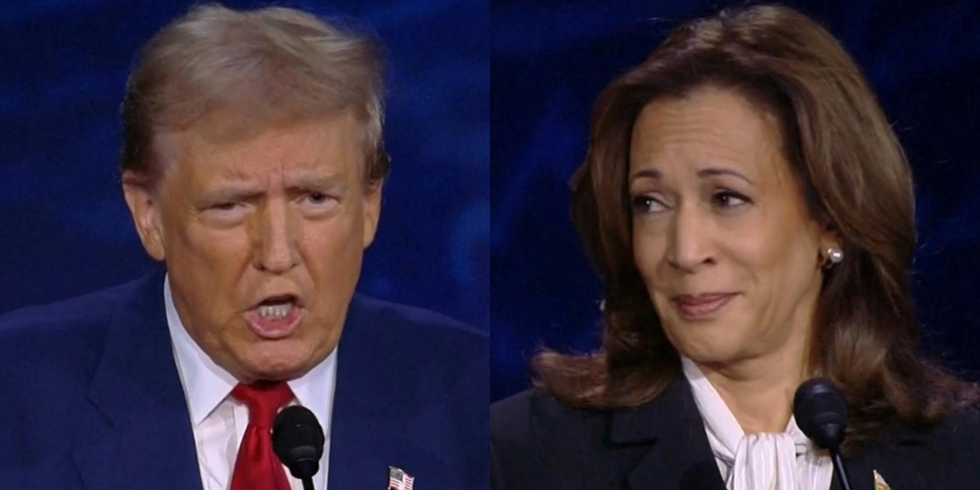 Comer perros y aborto a los nueve meses: Los delirantes momentos que marcaron el debate de Trump y Harris