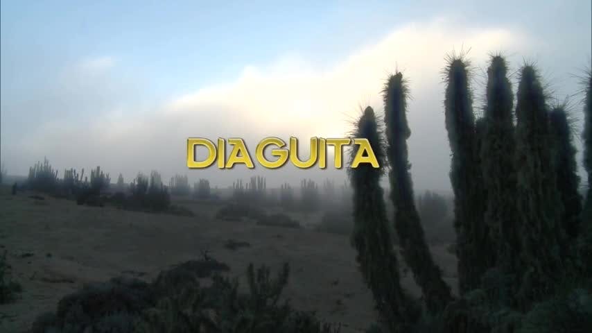 Diaguita | Pueblos Originarios - T1E7