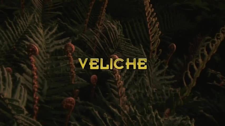 Veliche | Pueblos originarios - T1E8