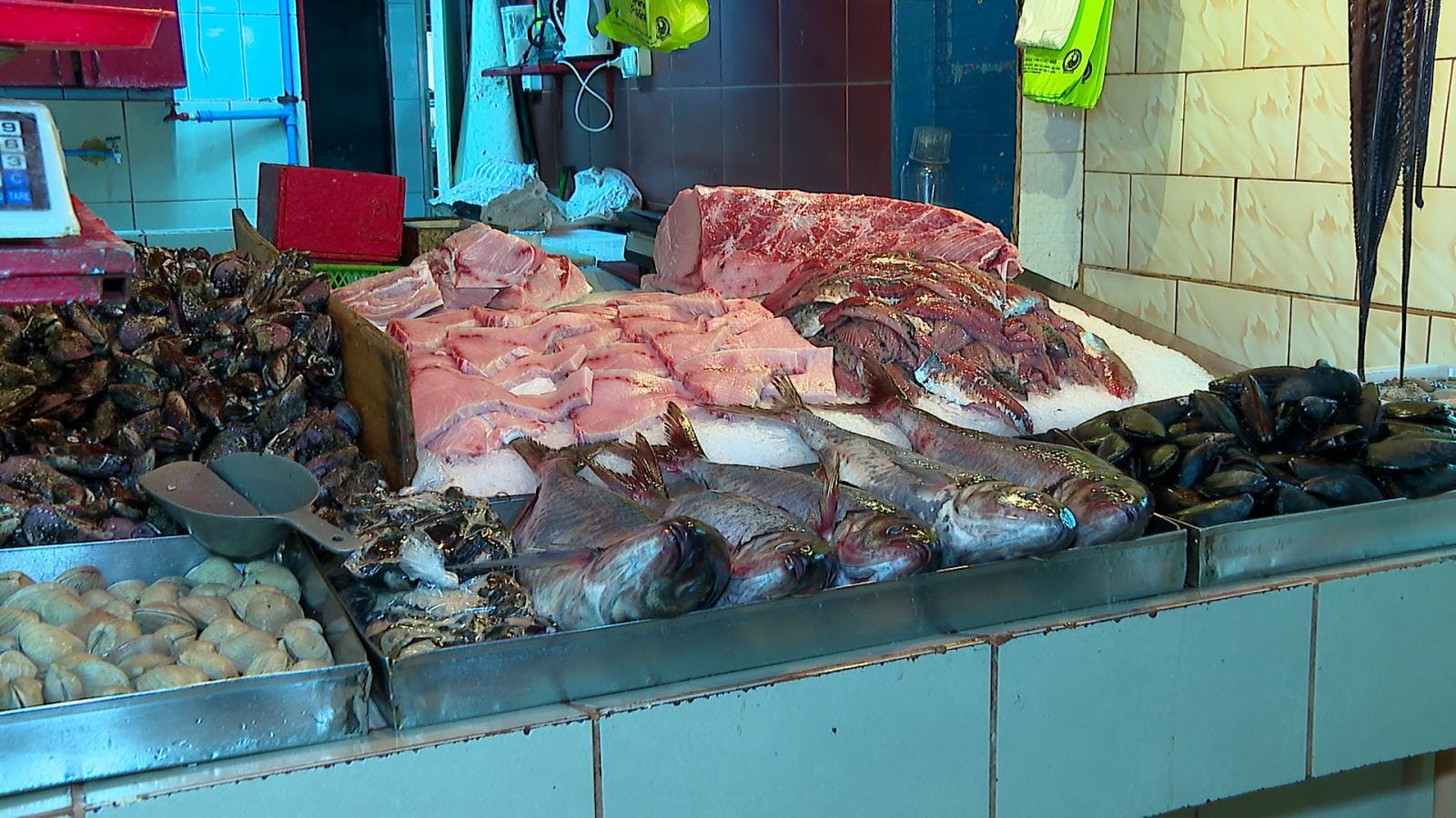 Pescados y mariscos como opción para cambiar las carnes rojas este 18