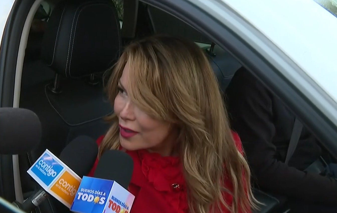 "Estoy cansada": Cathy Barriga acusa a alcalde Vodanovic de "persecución "