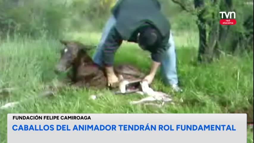 Los desafíos de la Fundación Felipe Camiroaga