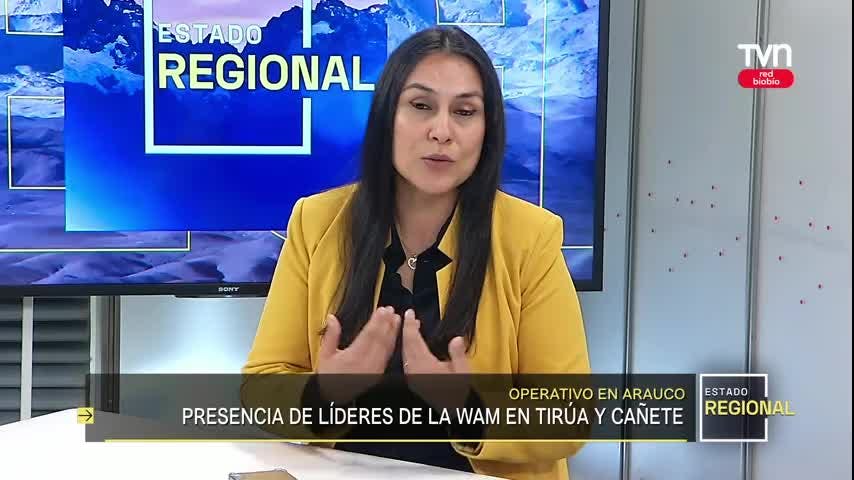 Diputada Francesca Muñoz “Me sorprende que algunos no apoyen el proyecto que prohíbe la narcocultura”