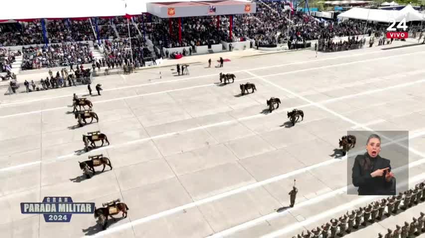 César, Suki, Bruma y Simba: los perritos que acompañaron al grupo de Fuerzas Especiales
