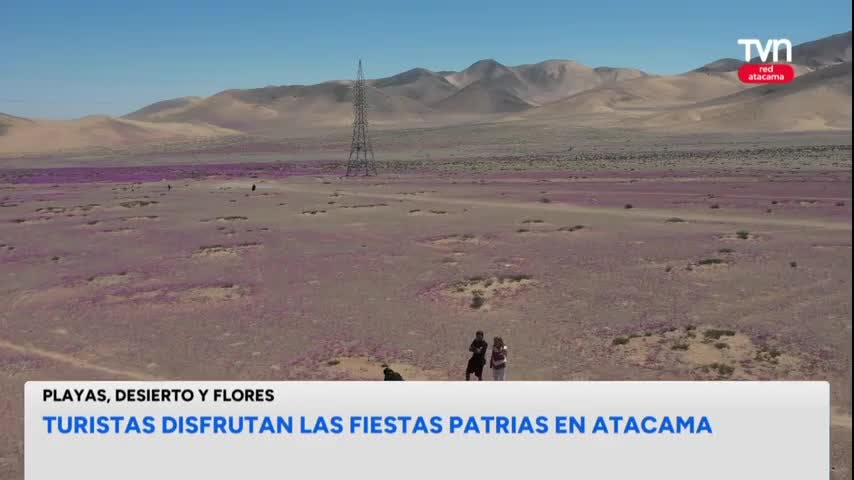 Turistas disfrutan las fiestas patrias en Atacama