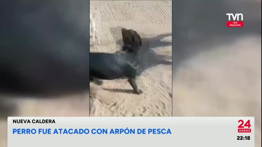 24 Horas Central Red Atacama - 24 de Septiembre 2024