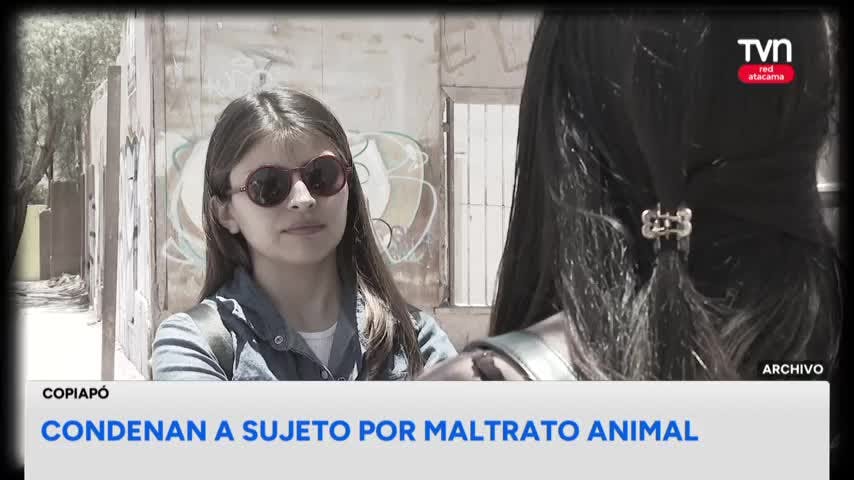 Condenan a sujeto por delito de maltrato animal