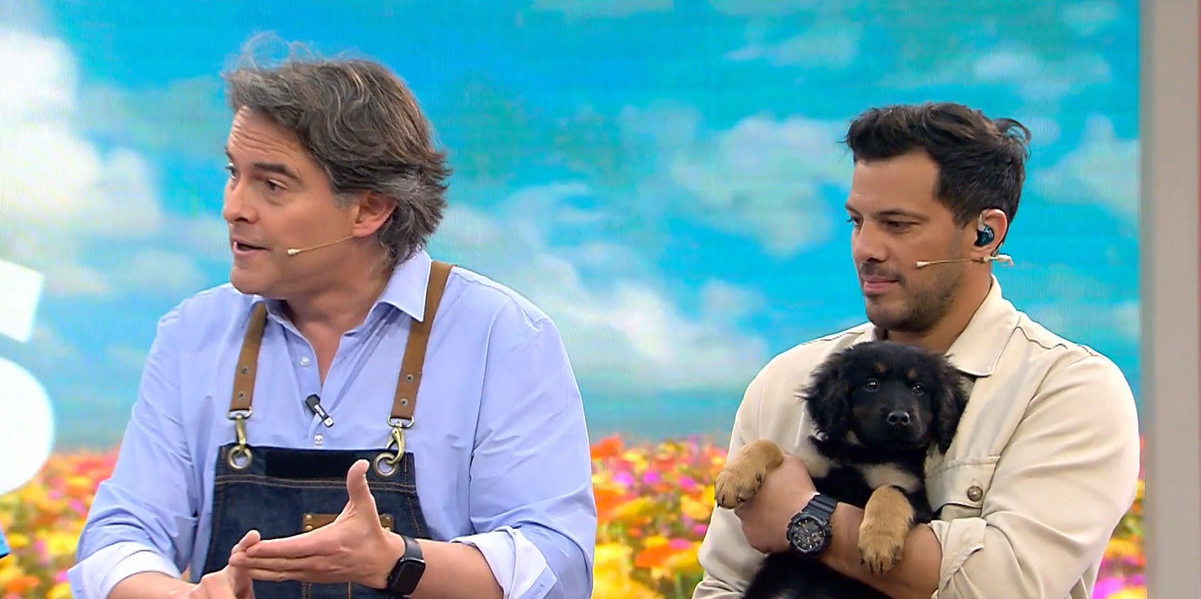 Sebastián Jiménez nos advierte sobre las alergias alimentarias en mascotas 