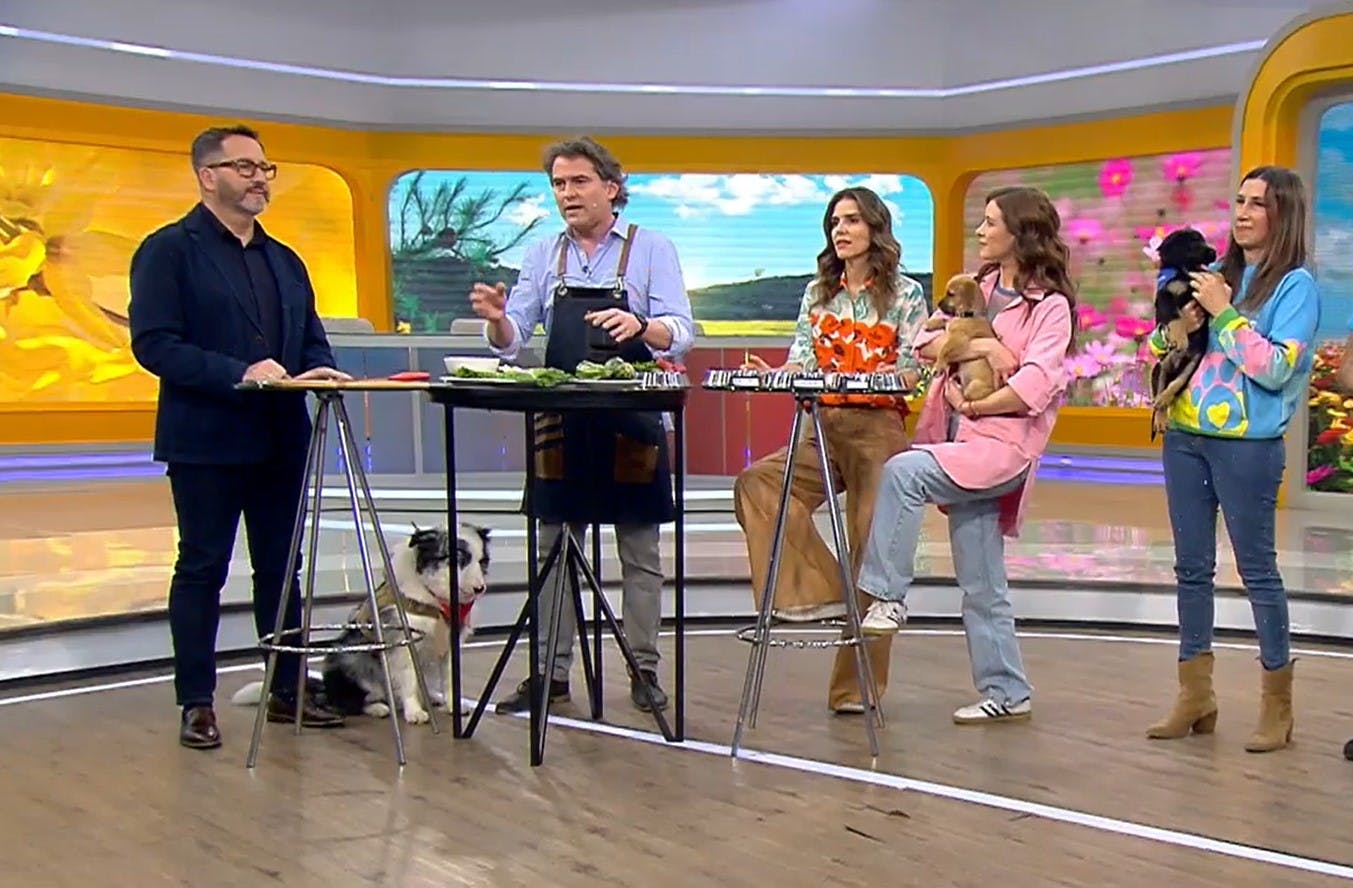 Para todo Chile y 24 Horas al día: Sebastián Jiménez anuncia la creación del Fono Mascotas 