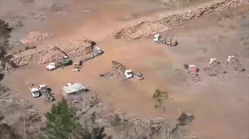 Corralón municipal de Curanilahue podrá apoyar operativos por robo de madera