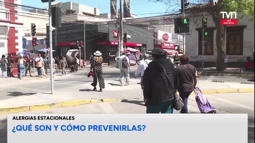 La primavera y las alergias estacionales