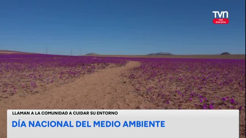 Conmemoran el Día Nacional del Medio Ambiente