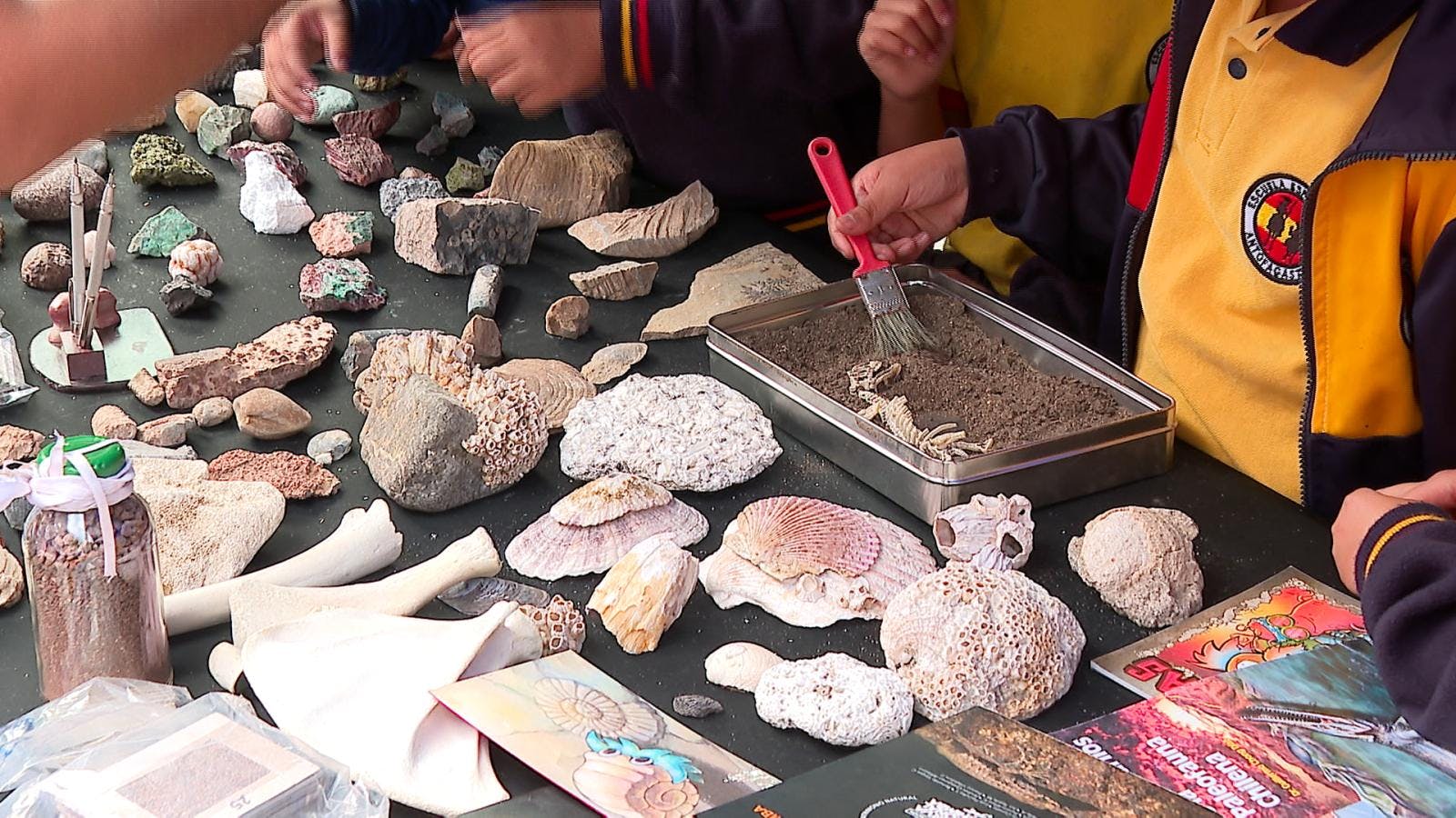 Comenzó festival de las ciencias en Antofagasta 